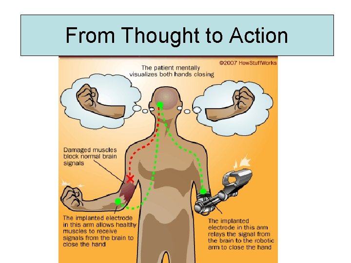 From Thought to Action 
