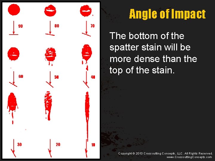 Angle of Impact The bottom of the spatter stain will be more dense than