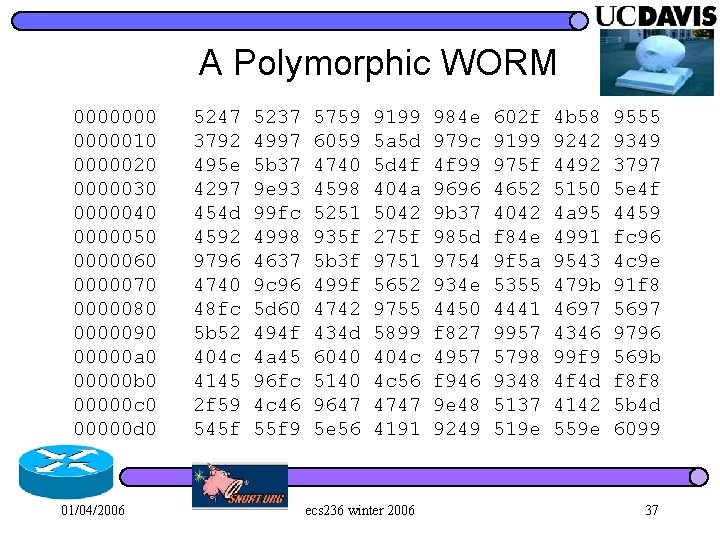 A Polymorphic WORM 0000000 5247 5237 5759 9199 984 e 602 f 4 b