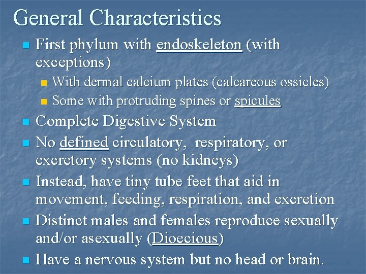 General Characteristics n First phylum with endoskeleton (with exceptions) With dermal calcium plates (calcareous General Characteristics n First phylum with endoskeleton (with exceptions) With dermal calcium plates (calcareous