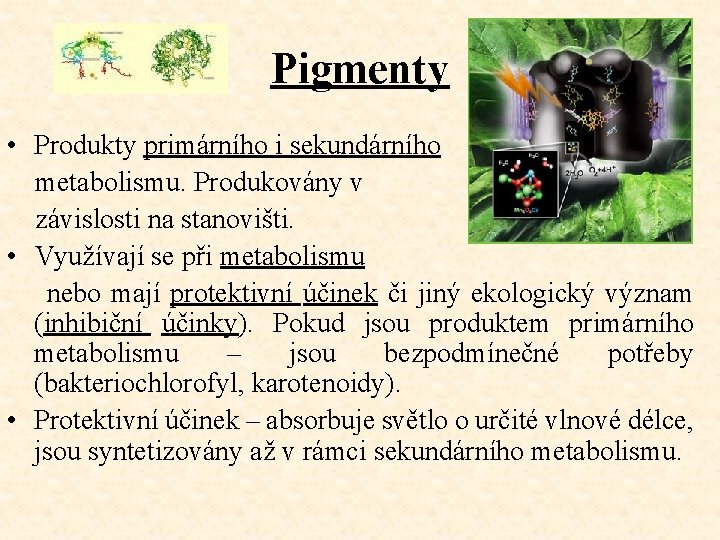 Pigmenty • Produkty primárního i sekundárního metabolismu. Produkovány v závislosti na stanovišti. • Využívají