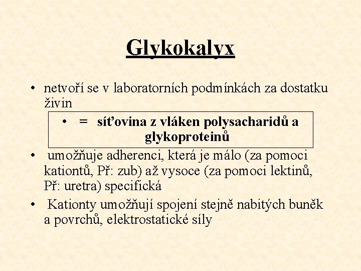 Glykokalyx • netvoří se v laboratorních podmínkách za dostatku živin • = síťovina z