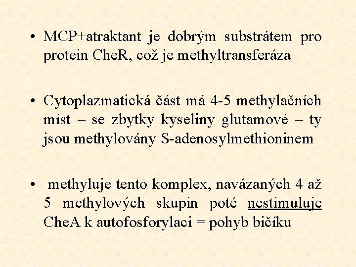 • MCP+atraktant je dobrým substrátem protein Che. R, což je methyltransferáza • Cytoplazmatická