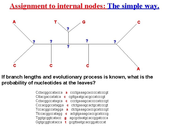Assignment to internal nodes: The simple way. A G T C ? ? ?