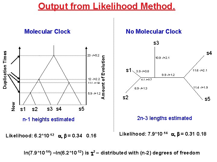 Output from Likelihood Method. Molecular Clock No Molecular Clock 23 -/+5. 2 12 -/+2.