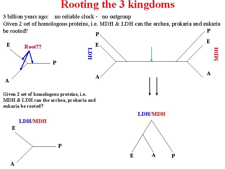 Rooting the 3 kingdoms 3 billion years ago: no reliable clock - no outgroup