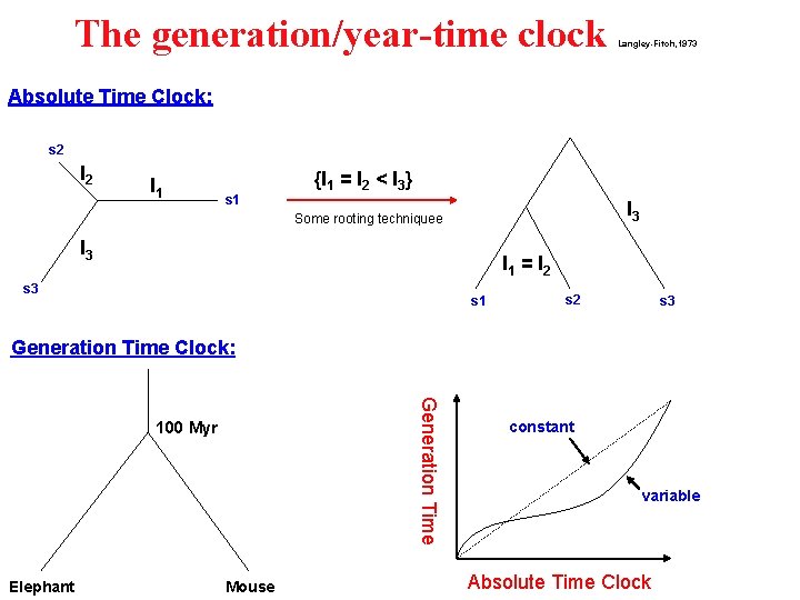 The generation/year-time clock Langley-Fitch, 1973 Absolute Time Clock: s 2 l 1 s 1