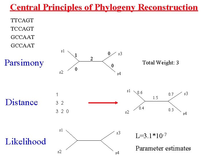 Central Principles of Phylogeny Reconstruction TTCAGT TCCAGT GCCAAT s 1 Parsimony s 2 Distance