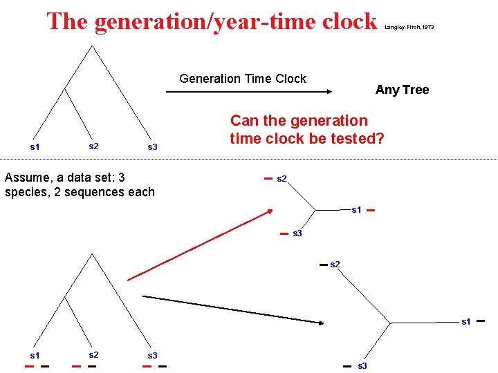 The generation/year-time clock Generation Time Clock s 1 s 2 s 3 Assume, a