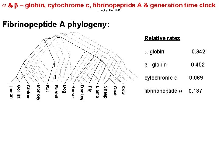 a & – globin, cytochrome c, fibrinopeptide A & generation time clock Langley-Fitch, 1973