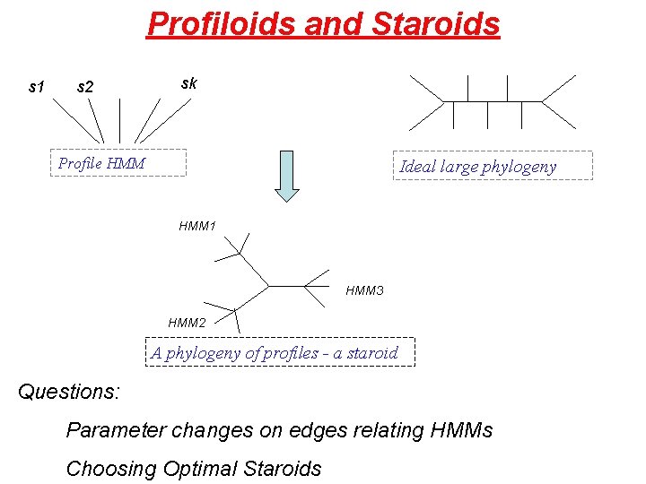 Profiloids and Staroids s 1 s 2 sk Profile HMM Ideal large phylogeny HMM