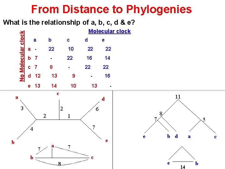 From Distance to Phylogenies No Molecular clock What is the relationship of a, b,