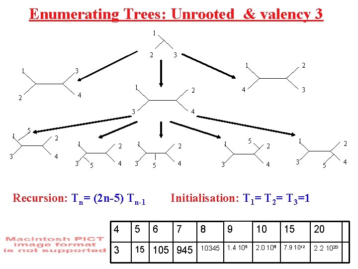 Enumerating Trees: Unrooted & valency 3 1 2 1 3 1 2 3 3