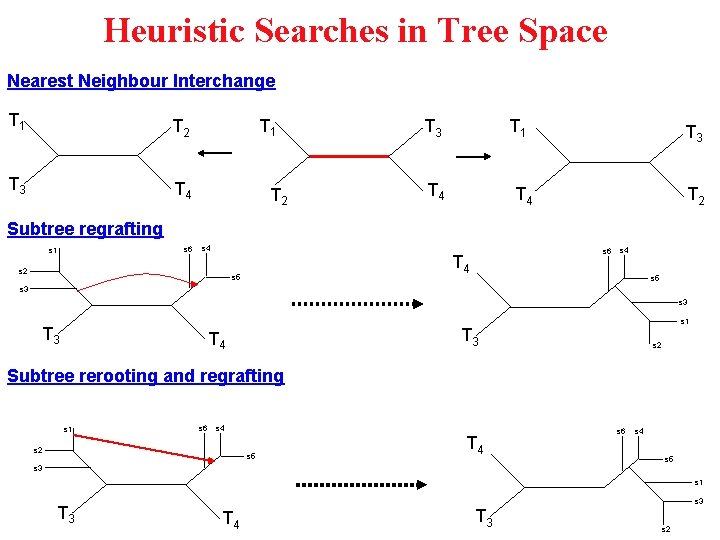 Heuristic Searches in Tree Space Nearest Neighbour Interchange T 1 T 2 T 3