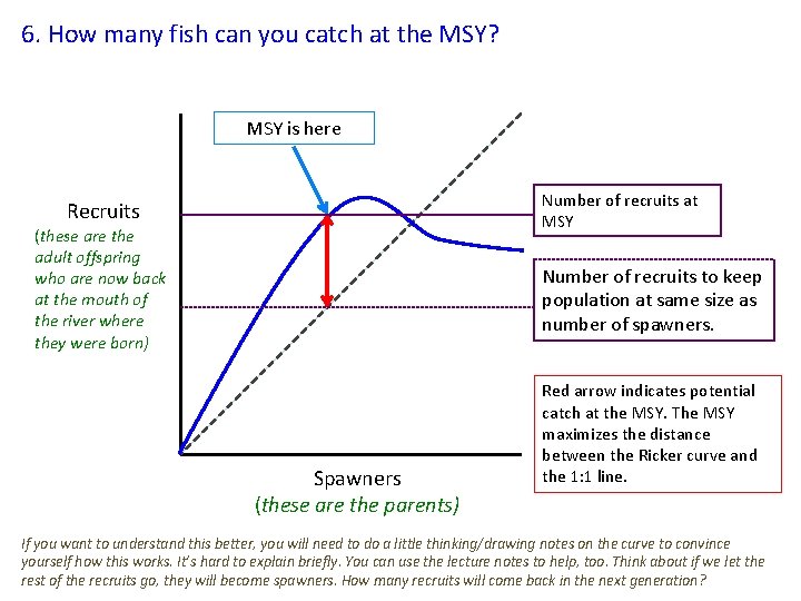 6. How many fish can you catch at the MSY? MSY is here Number