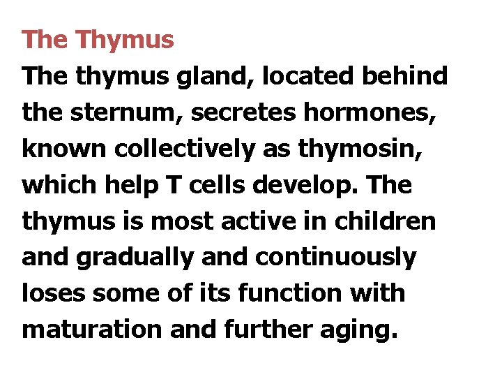 The Thymus The thymus gland, located behind the sternum, secretes hormones, known collectively as