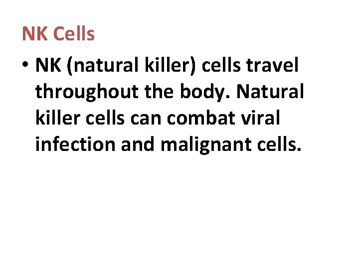 NK Cells • NK (natural killer) cells travel throughout the body. Natural killer cells