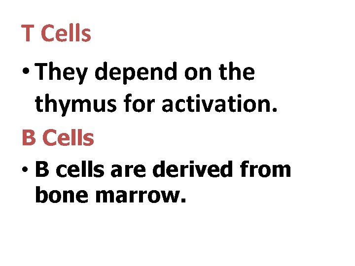 T Cells • They depend on the thymus for activation. B Cells • B