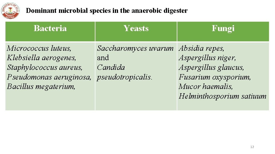 Dominant microbial species in the anaerobic digester Bacteria Yeasts Fungi Micrococcus luteus, Klebsiella aerogenes,