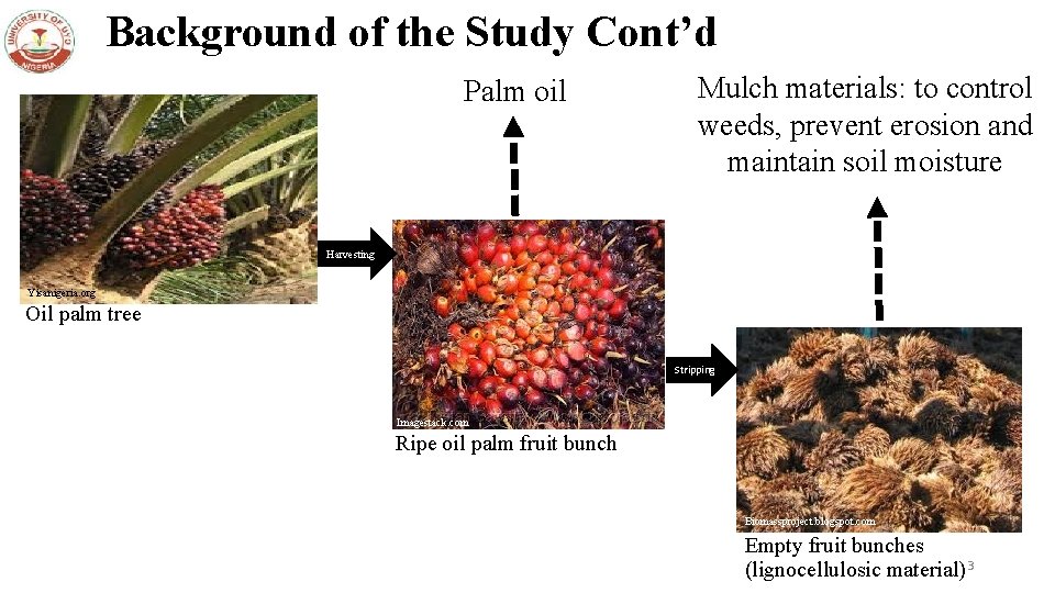 Background of the Study Cont’d Palm oil Mulch materials: to control weeds, prevent erosion
