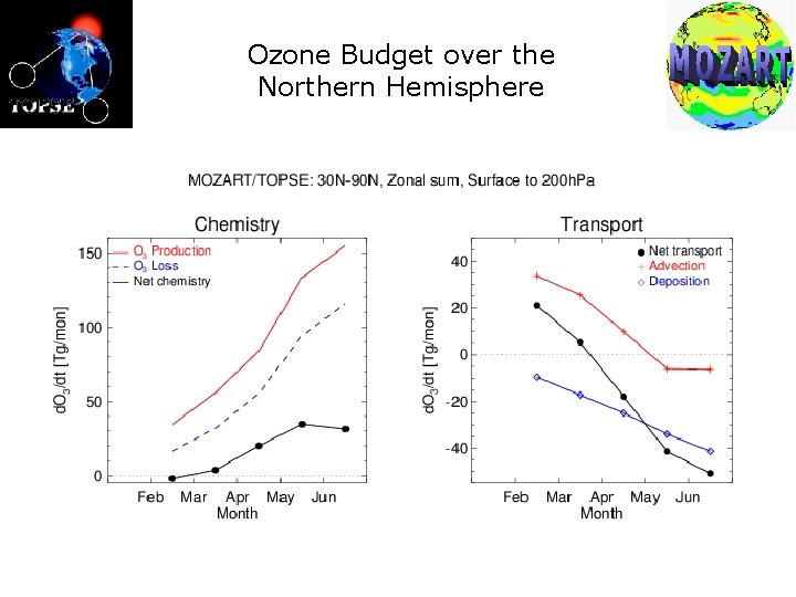 Ozone Budget over the Northern Hemisphere 