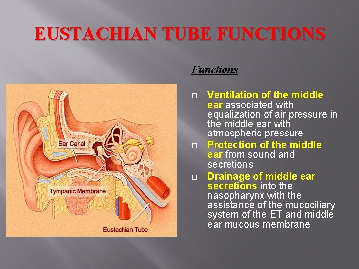 EUSTACHIAN TUBE FUNCTIONS Functions � � � Ventilation of the middle ear associated with