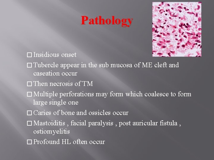 Pathology � Insidious onset � Tubercle appear in the sub mucosa of ME cleft