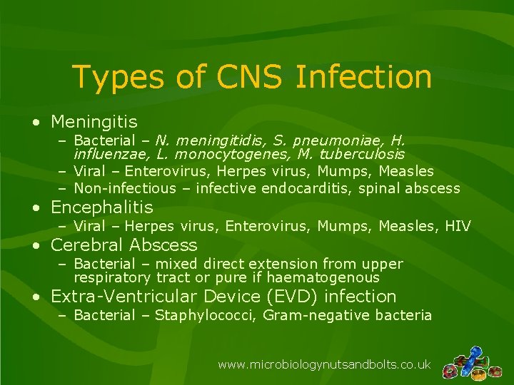 Types of CNS Infection • Meningitis – Bacterial – N. meningitidis, S. pneumoniae, H.