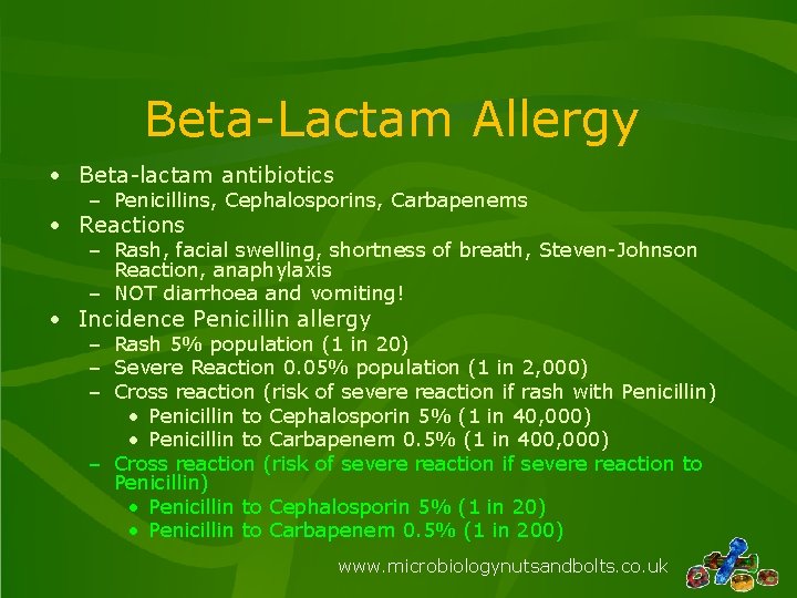 Beta-Lactam Allergy • Beta-lactam antibiotics – Penicillins, Cephalosporins, Carbapenems • Reactions – Rash, facial