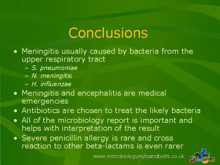 Conclusions • Meningitis usually caused by bacteria from the upper respiratory tract – S.