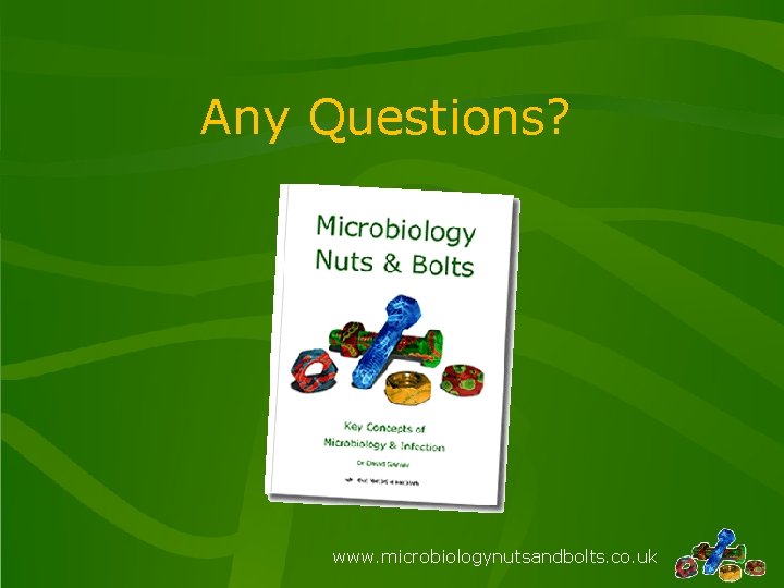 Any Questions? www. microbiologynutsandbolts. co. uk 