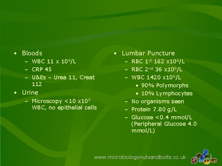  • Bloods • Lumbar Puncture – WBC 11 x 109/L – CRP 45