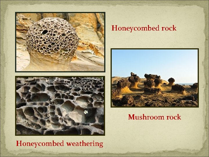 Honeycombed rock Mushroom rock Honeycombed weathering 