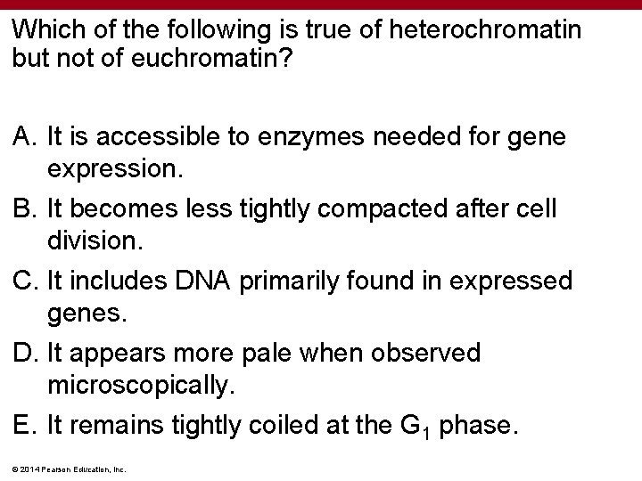 Which of the following is true of heterochromatin but not of euchromatin? A. It