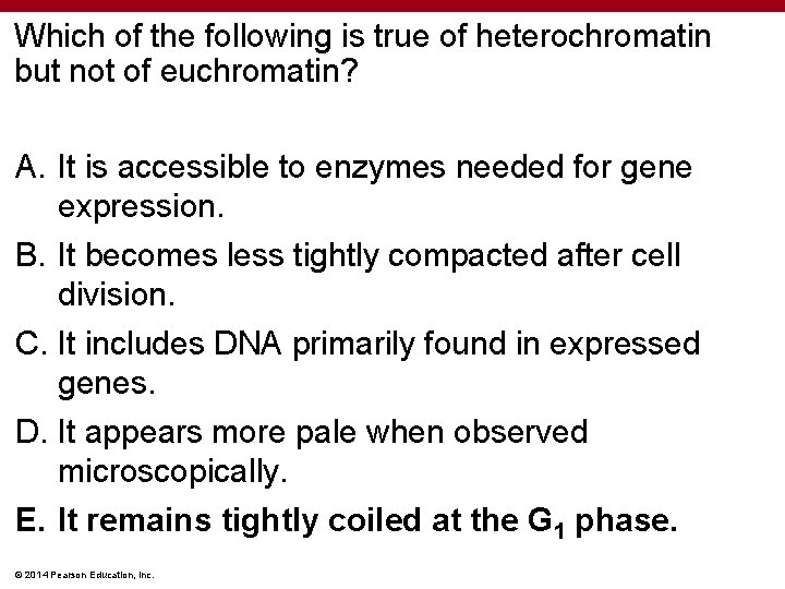 Which of the following is true of heterochromatin but not of euchromatin? A. It