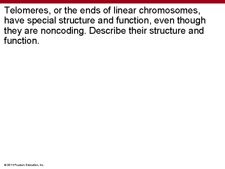 Telomeres, or the ends of linear chromosomes, have special structure and function, even though