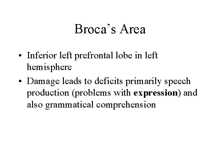 Broca’s Area • Inferior left prefrontal lobe in left hemisphere • Damage leads to