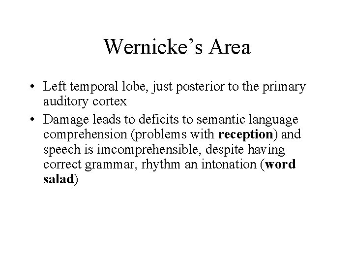 Wernicke’s Area • Left temporal lobe, just posterior to the primary auditory cortex •
