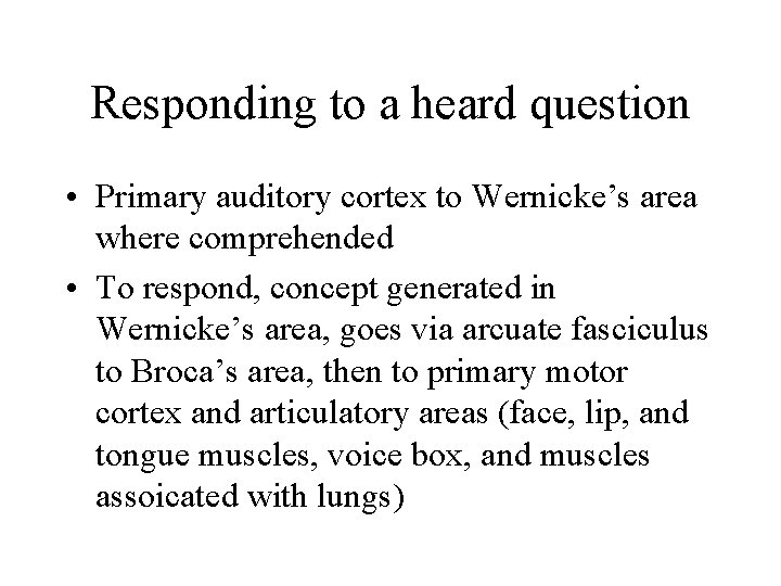 Responding to a heard question • Primary auditory cortex to Wernicke’s area where comprehended