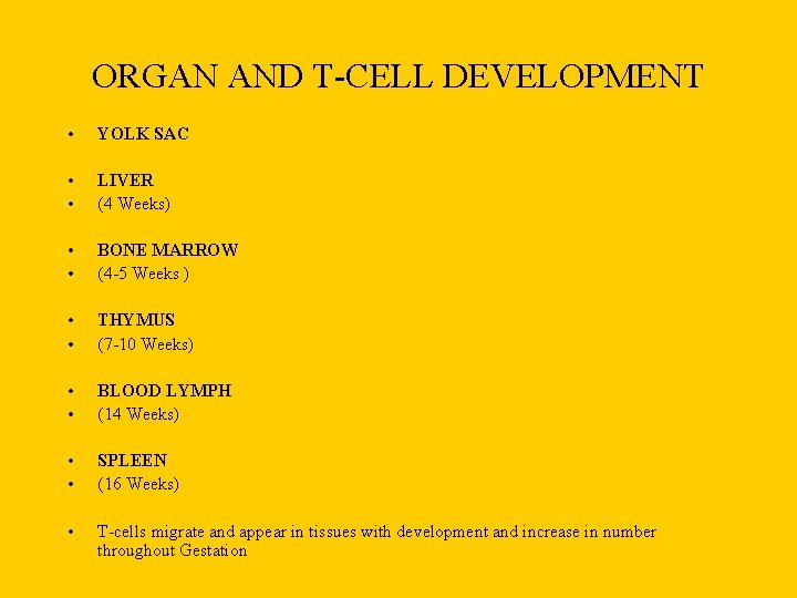 ORGAN AND T-CELL DEVELOPMENT • YOLK SAC • • LIVER (4 Weeks) • •