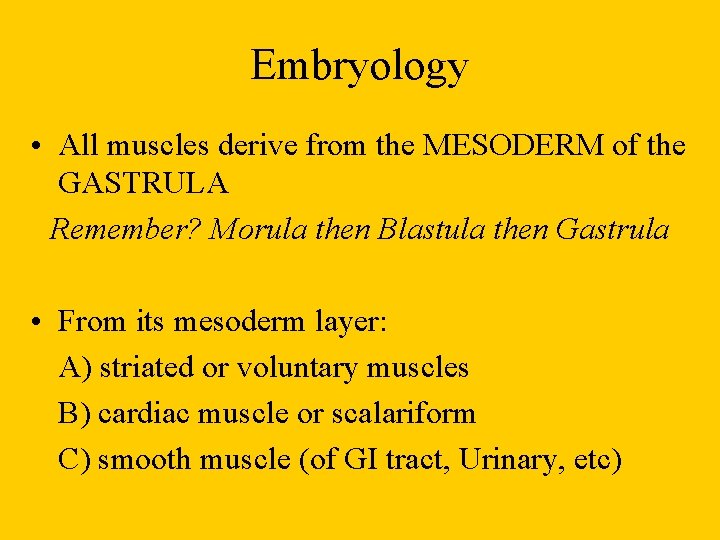 Embryology • All muscles derive from the MESODERM of the GASTRULA Remember? Morula then