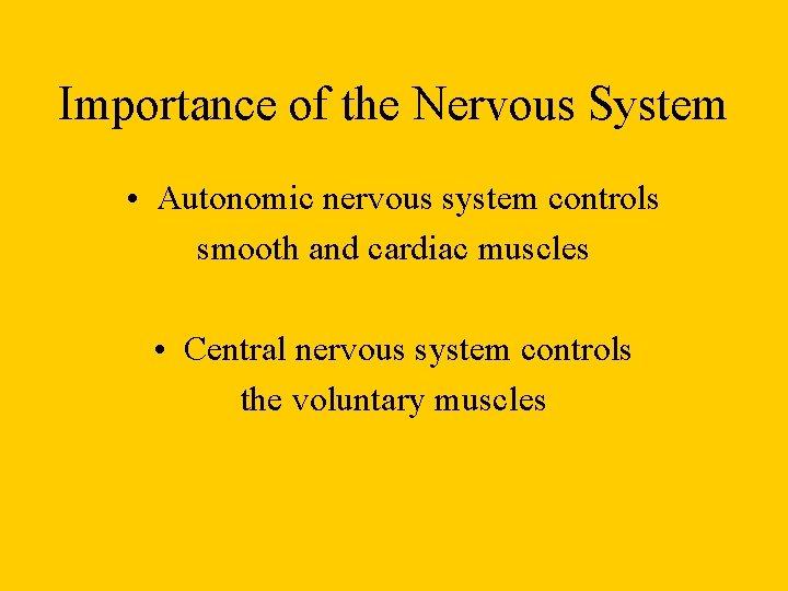 Importance of the Nervous System • Autonomic nervous system controls smooth and cardiac muscles