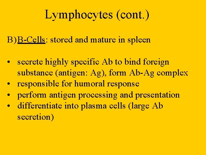 Lymphocytes (cont. ) B) B-Cells: stored and mature in spleen • secrete highly specific