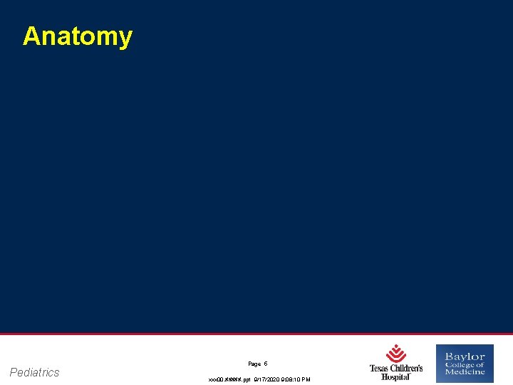 Anatomy Pediatrics Page 5 xxx 00. #####. ppt 9/17/2020 9: 08: 10 PM 