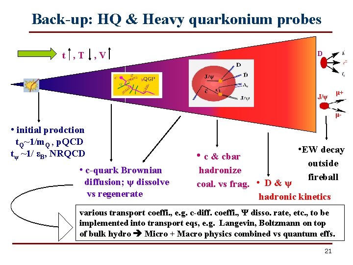 Back-up: HQ & Heavy quarkonium probes t , T , V D J/ψ μ+