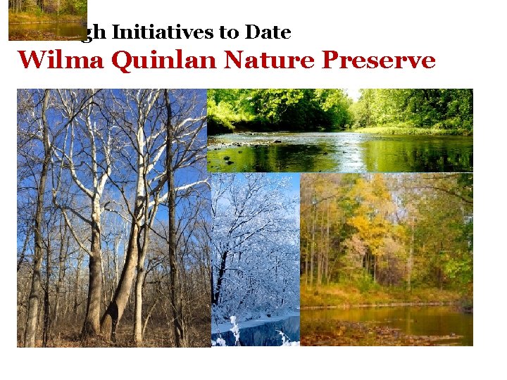 Borough Initiatives to Date Wilma Quinlan Nature Preserve 