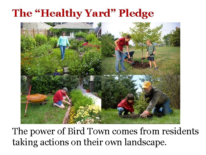 The “Healthy Yard” Pledge The power of Bird Town comes from residents taking actions