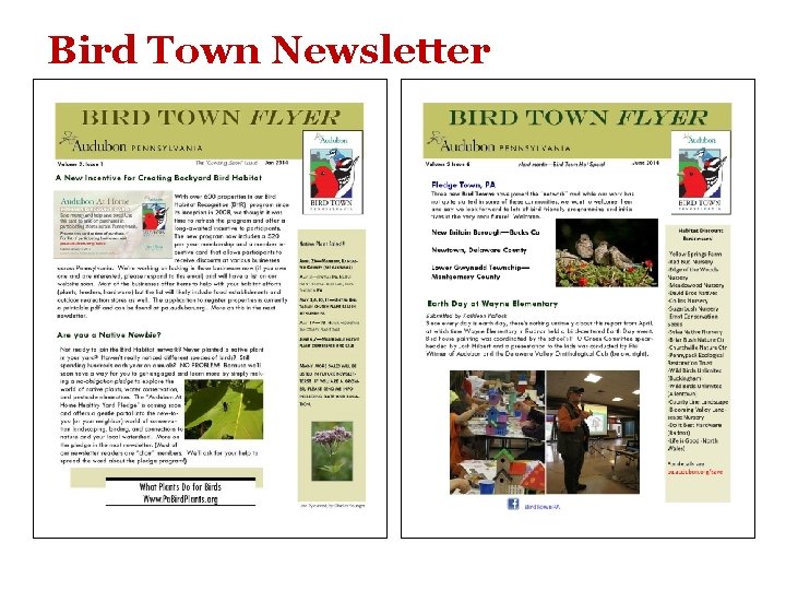 Bird Town Newsletter 