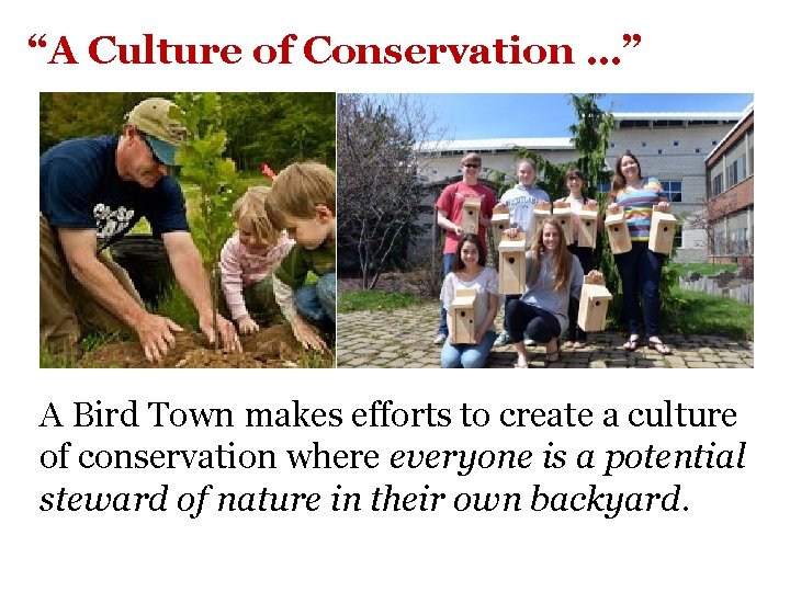 “A Culture of Conservation …” A Bird Town makes efforts to create a culture