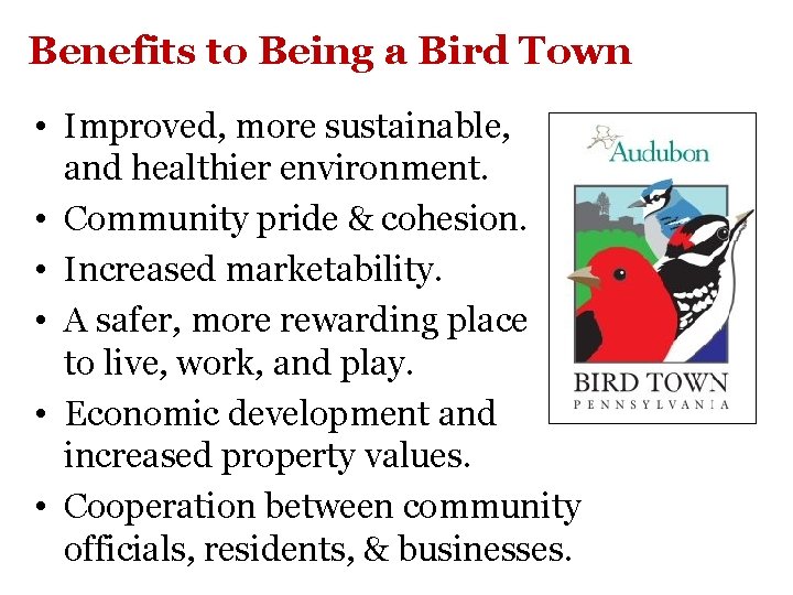 Benefits to Being a Bird Town • Improved, more sustainable, and healthier environment. •